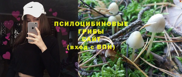 меф Алексин